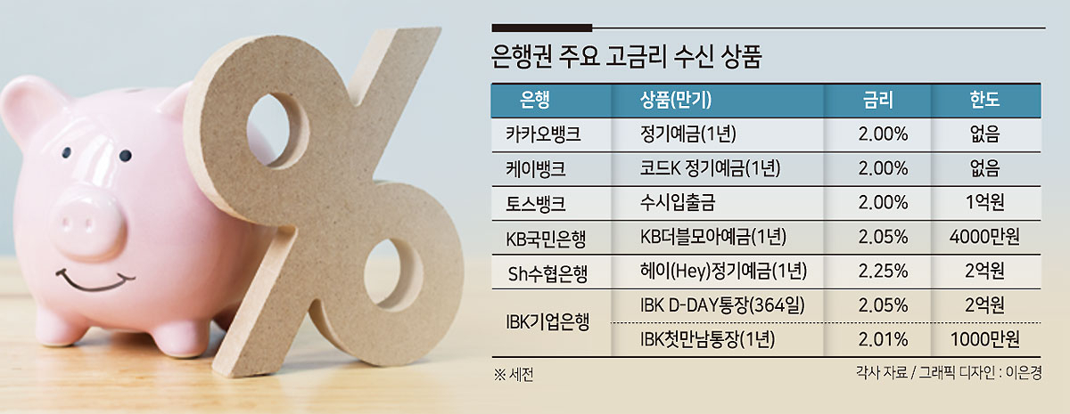 도미노뱅크 이미지
