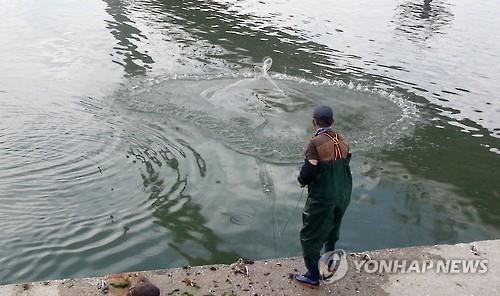 투망 이미지