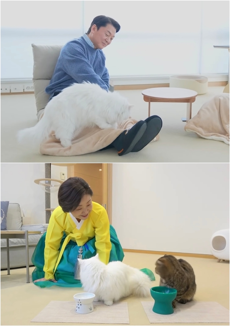 청객 이미지