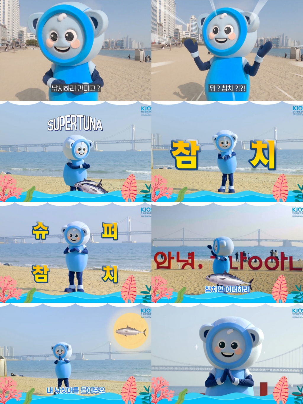 해양참치 이미지