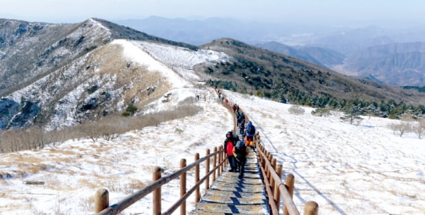 소백산얼음막걸리 이미지