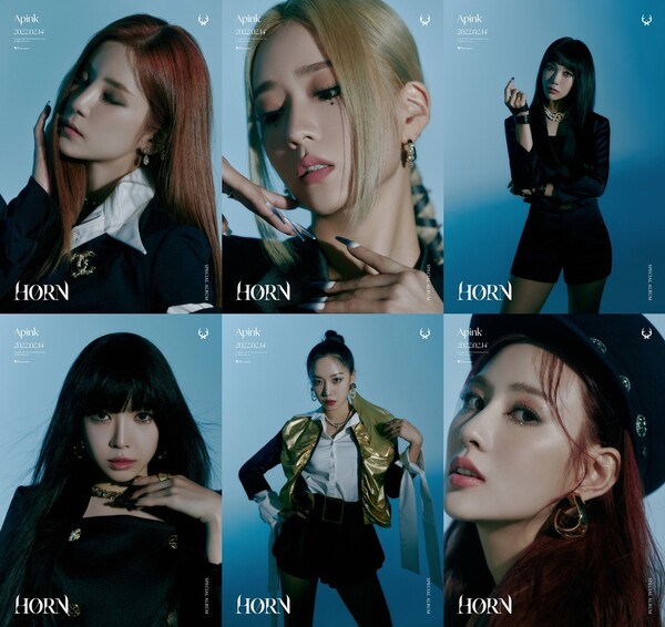 브랜디즈 이미지