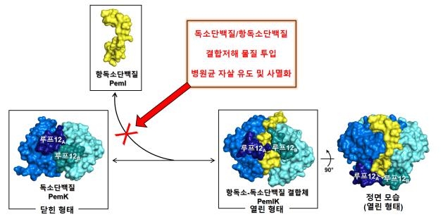 덕성슈퍼 이미지