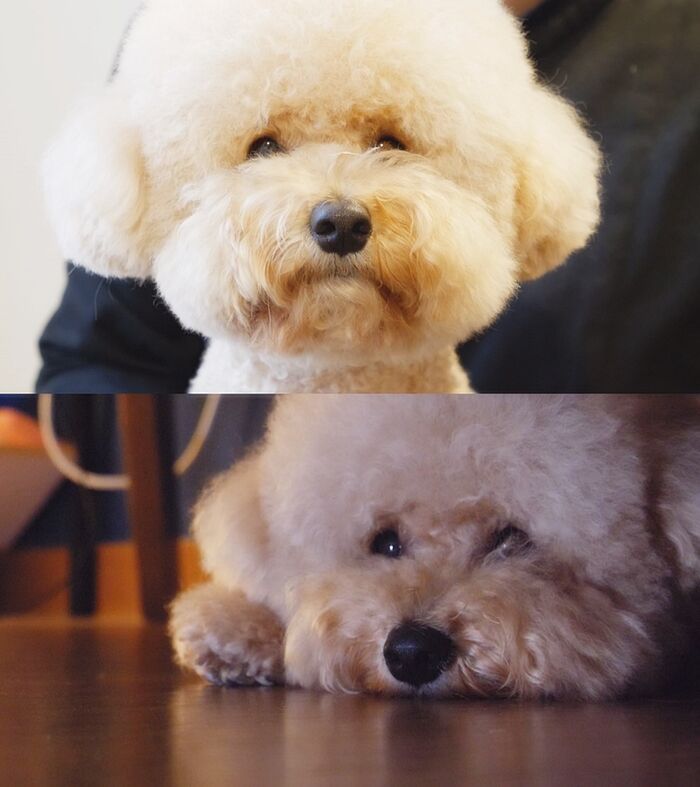 대신농장 이미지