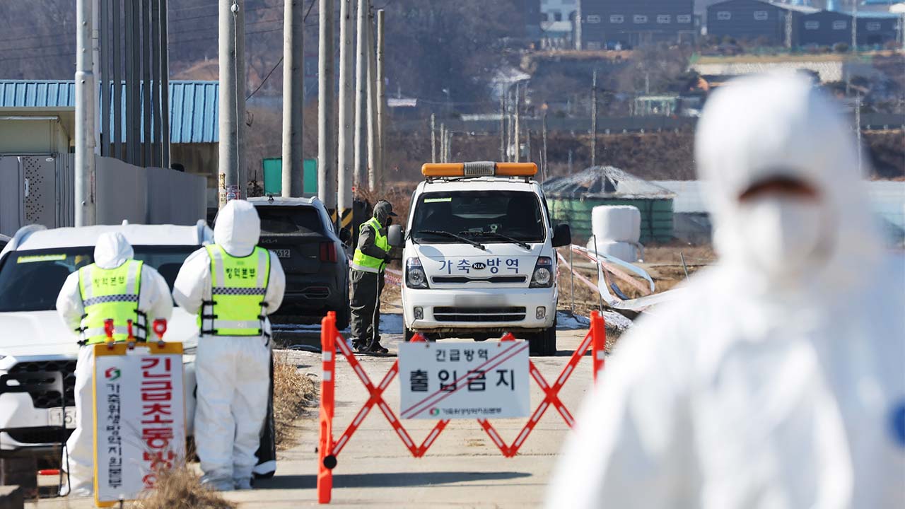 충남닭오리 이미지