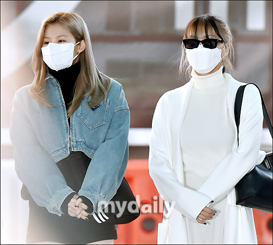 모모투어 이미지