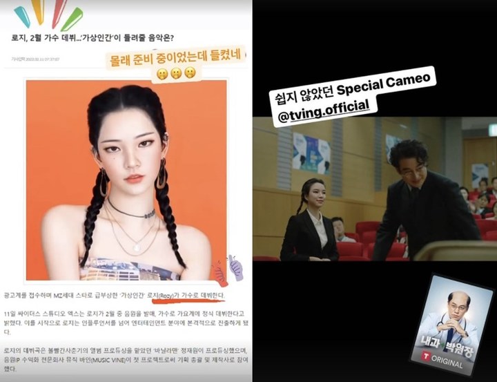 로지인 이미지
