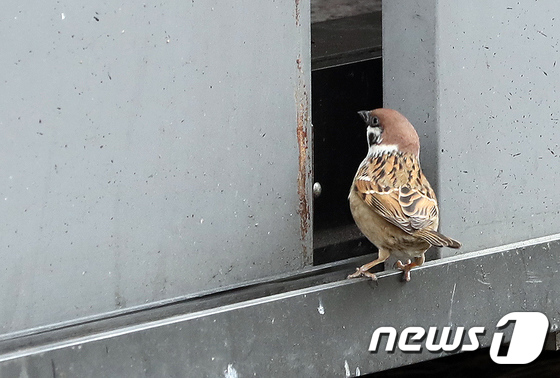 구두방 이미지