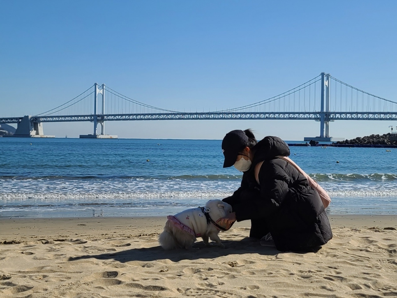 트래블고 여행사 이미지
