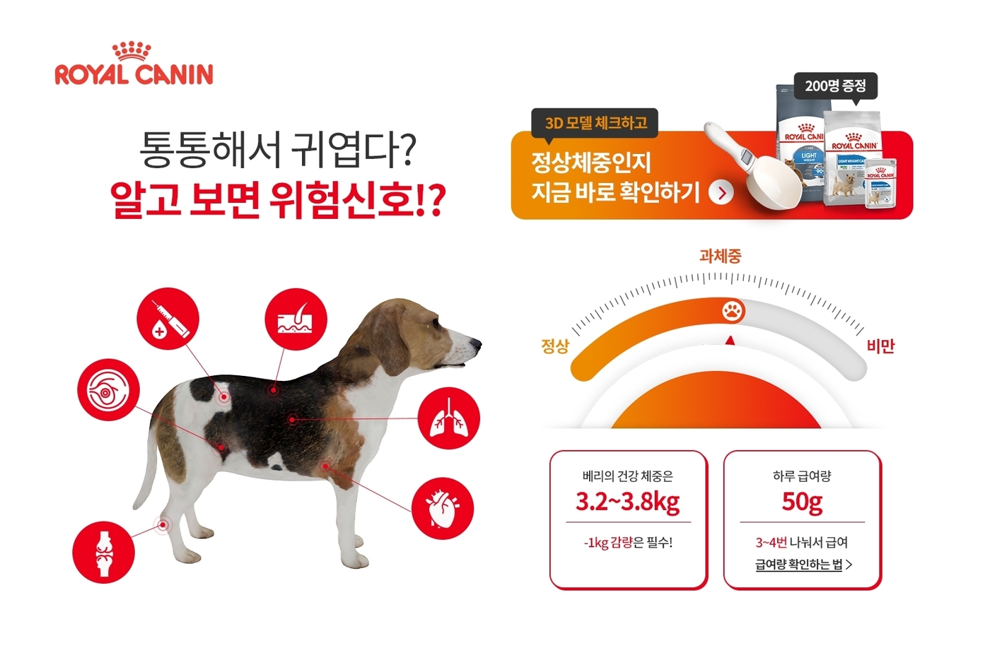 로얄체형관리 이미지