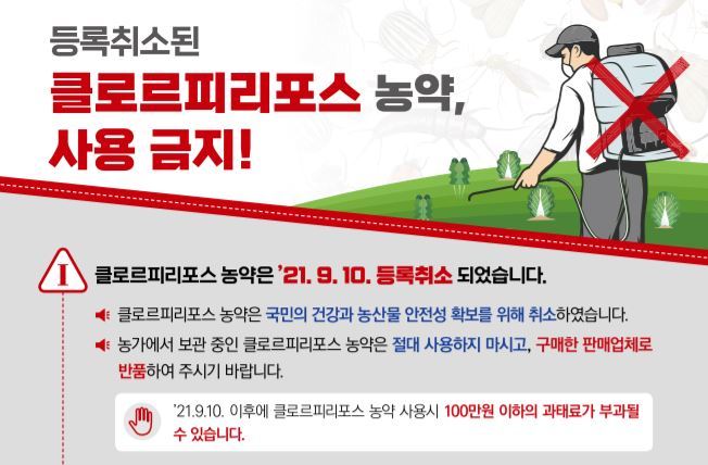 클로르 이미지
