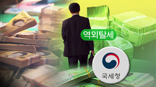 세운세무법인 이미지
