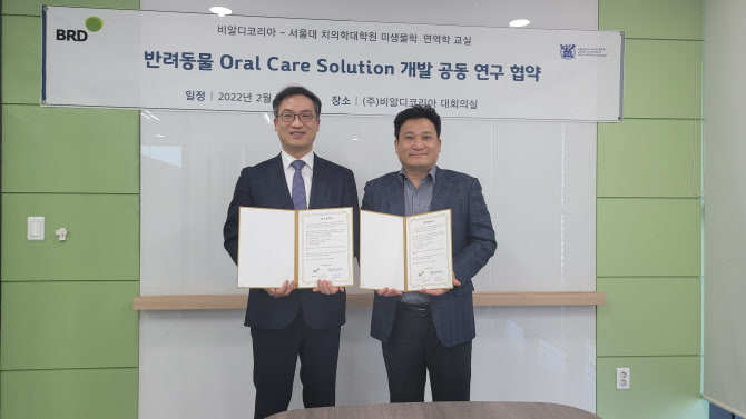 비알디일 이미지