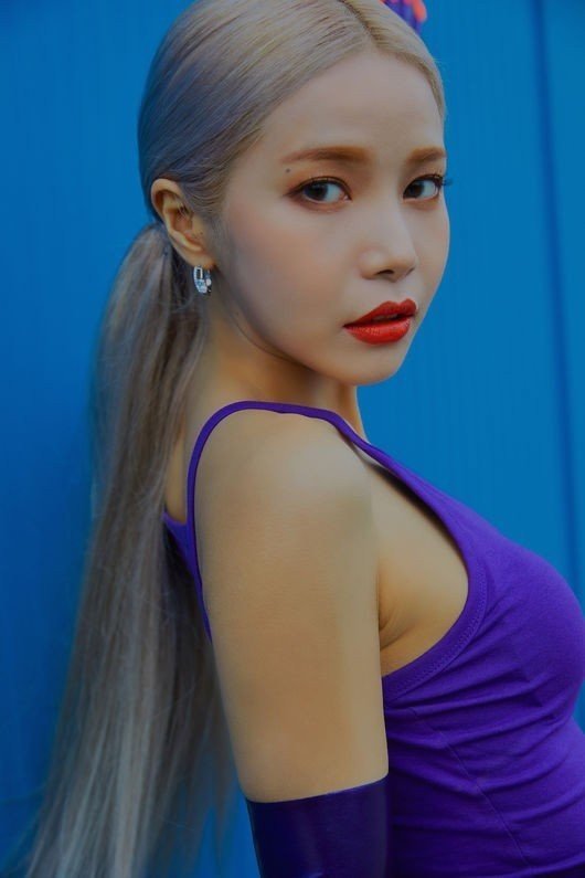 솔라 이미지