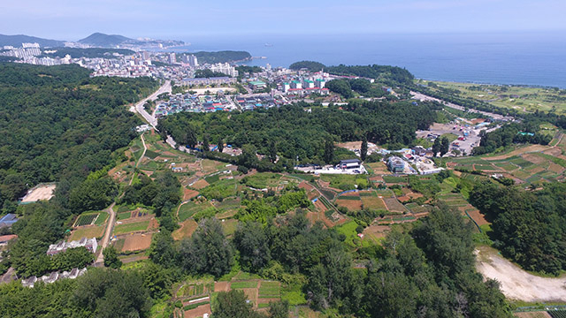 동해IC 이미지