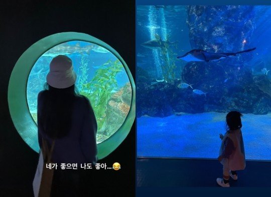 행복한수족관 이미지