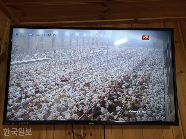 닭달치킨 이미지