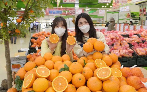 오렌지 이미지