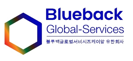 블루컨설팅 이미지