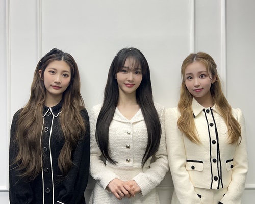 엔브이 이미지