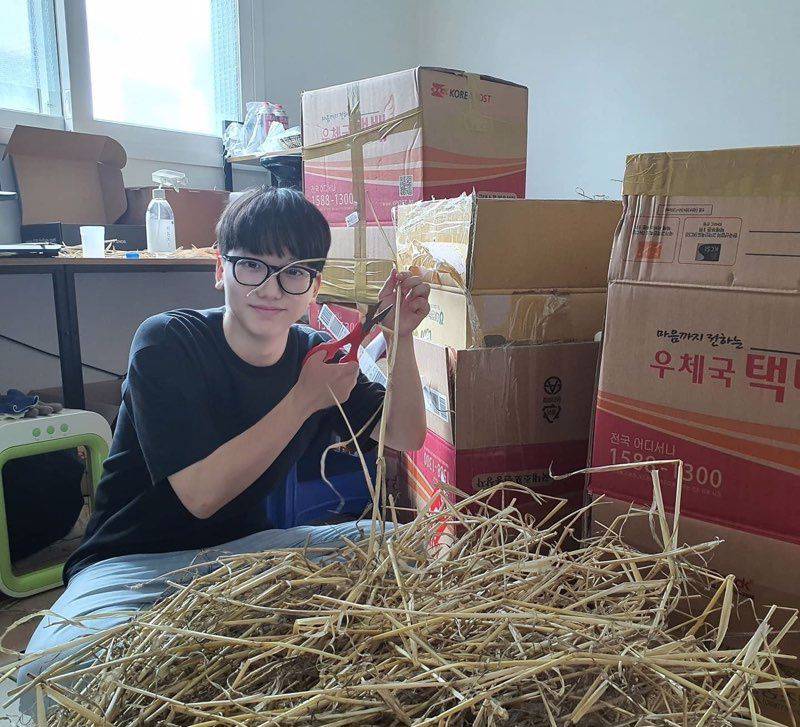 보리소프트 이미지