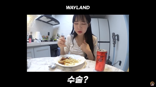 웨이랜드 이미지