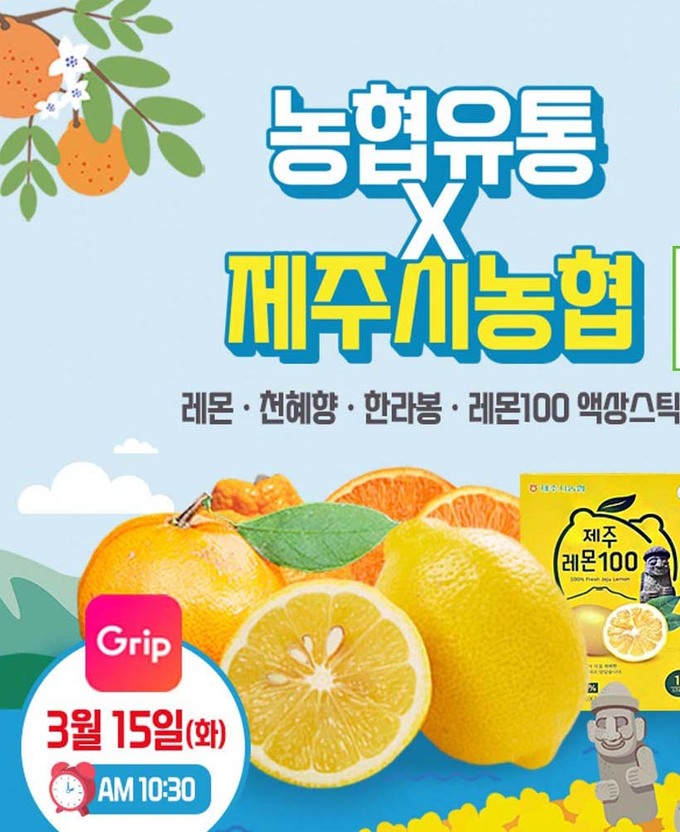 제주커머스 이미지