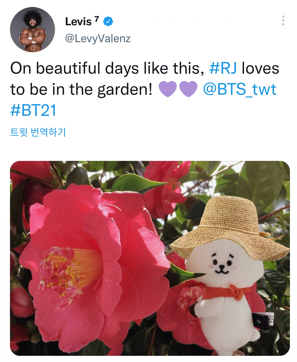 진스포츠 이미지