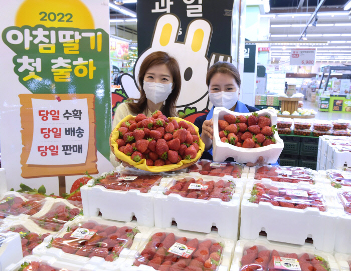 딸기마트 이미지