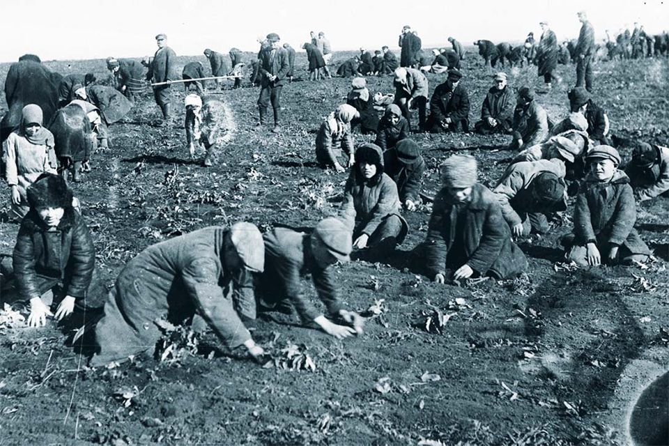 스탈린 때 350만 굶어죽었다, 우크라이나는 그 악몽 잊지않는다