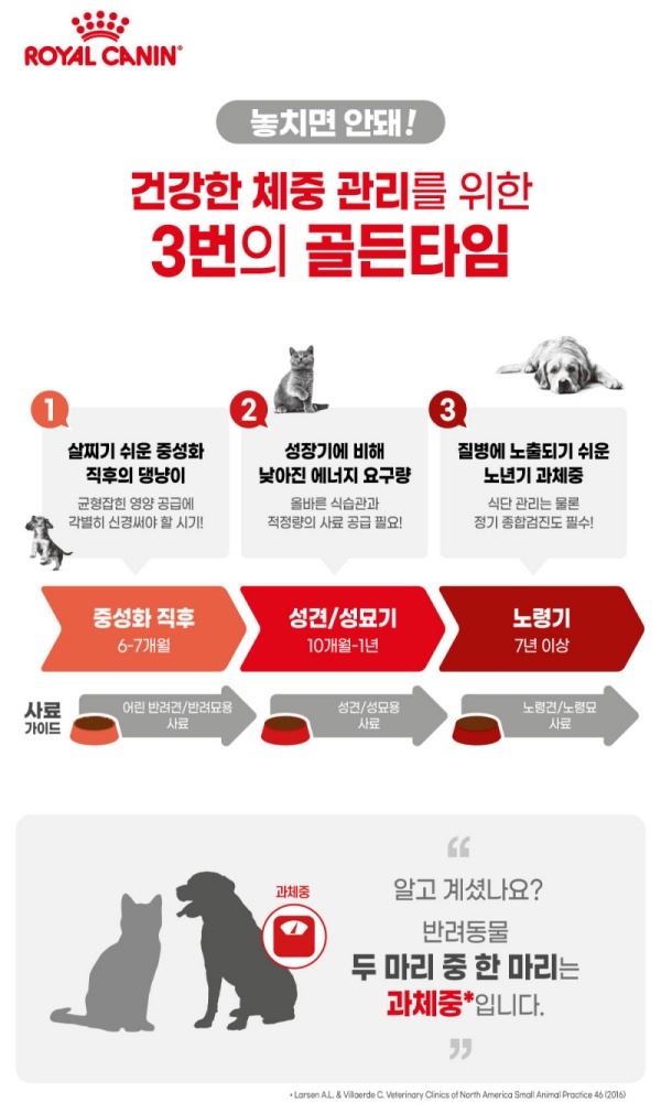 신진종합관리 이미지
