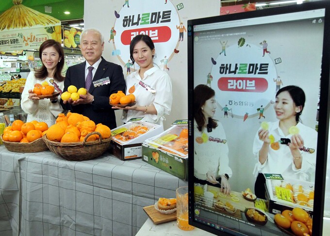 제주농산물 이미지