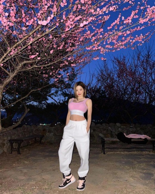 라인농원 이미지