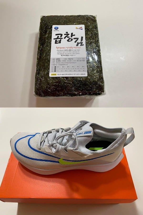 진션 이미지