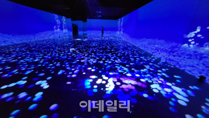 파란뷰티뱅크 이미지