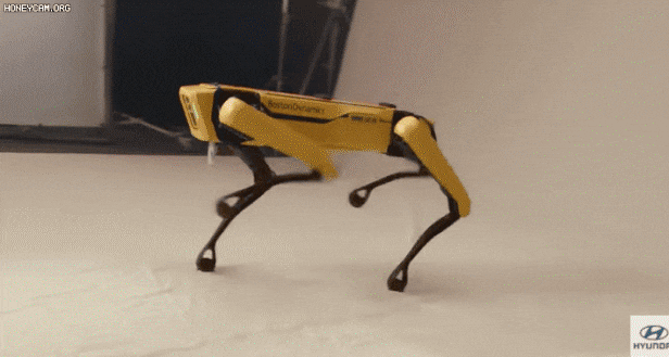 지난해 6월 현대자동차 유튜브 채널에 공개된 영상. 보스턴다이내믹스의 사족보행 로봇 스팟이 방탄소년단(BTS) 노래에 맞춰 이들과 함께 춤을 췄다. /유튜브