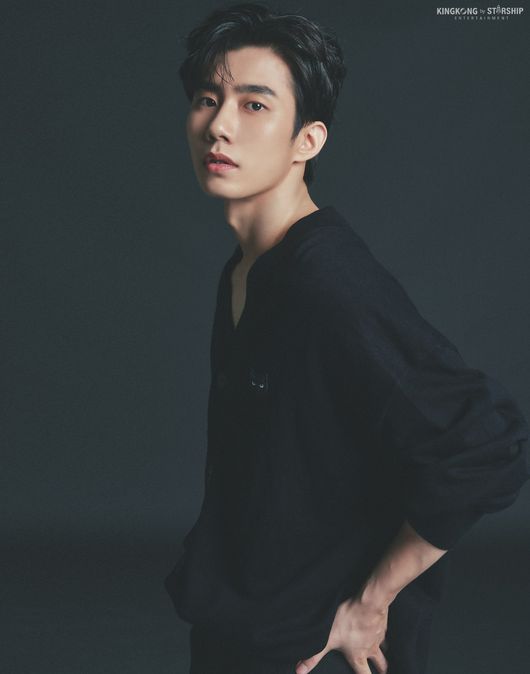킹콩네트웍스 이미지
