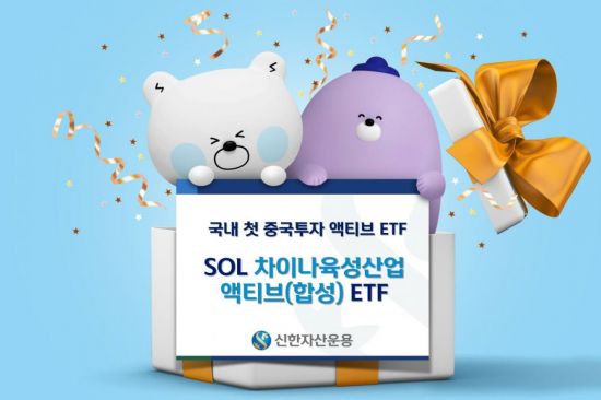 신한항공(국내) 이미지