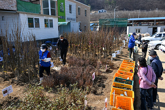 정선군산림조합(임산물산지종합유통센터) 이미지
