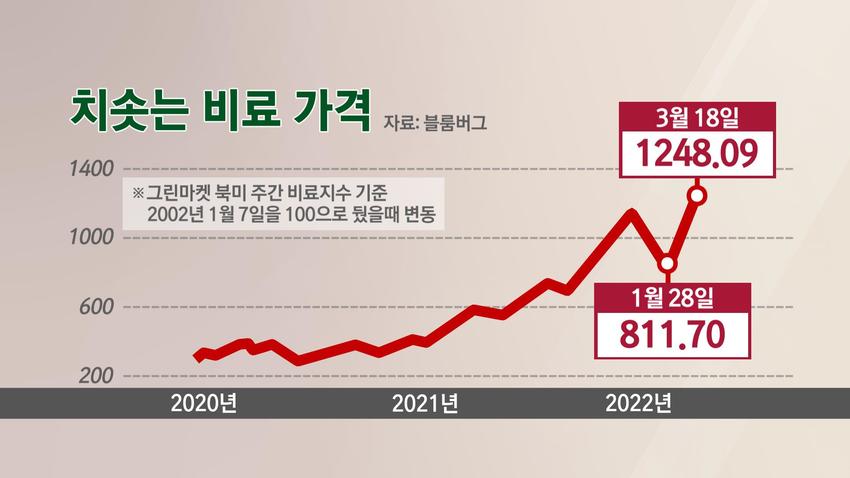 빵바구니 이미지