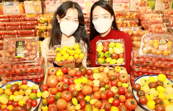 토마토마트 이미지