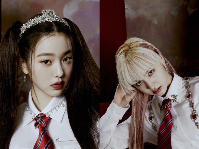 리즈 이미지