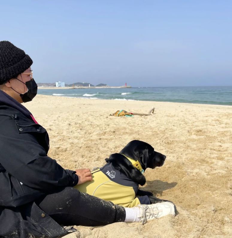 고성댁 이미지