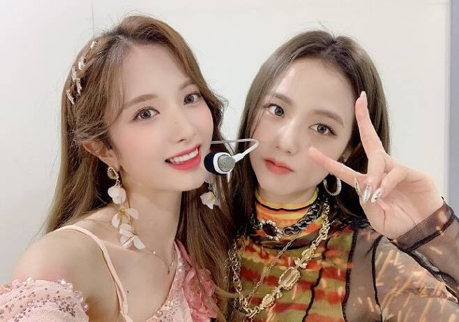 보나 이미지
