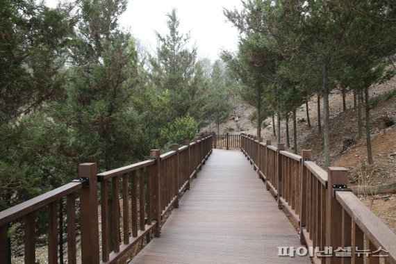 편백숲작은공간 이미지
