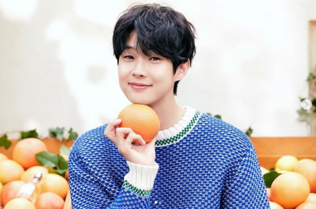 쏘네 이미지
