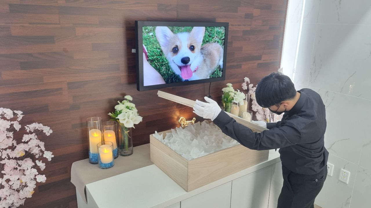 오수봉투 이미지