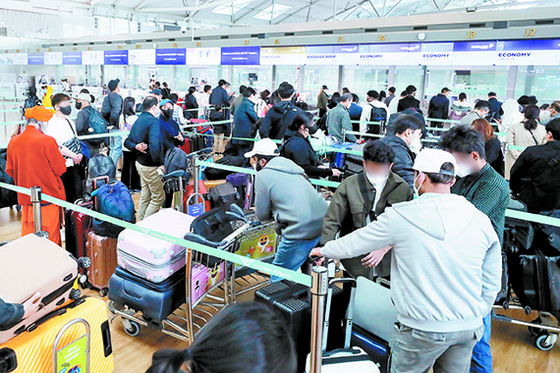 국제방역공사 이미지