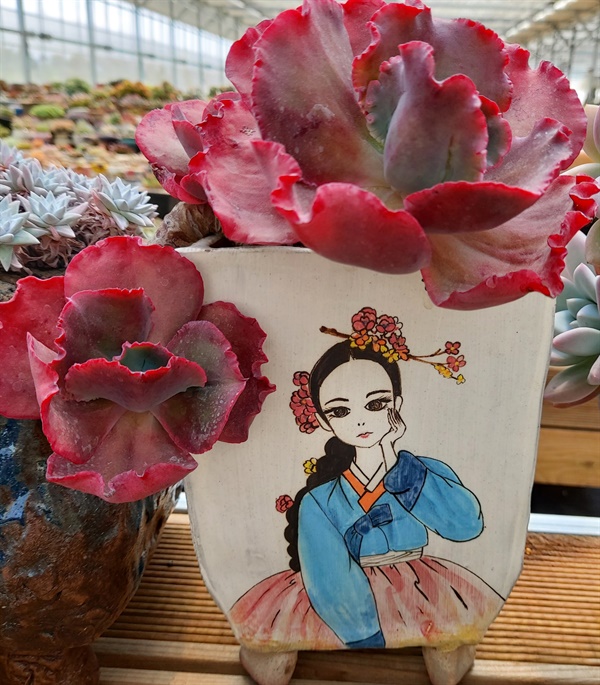 다육에빠지다 이미지