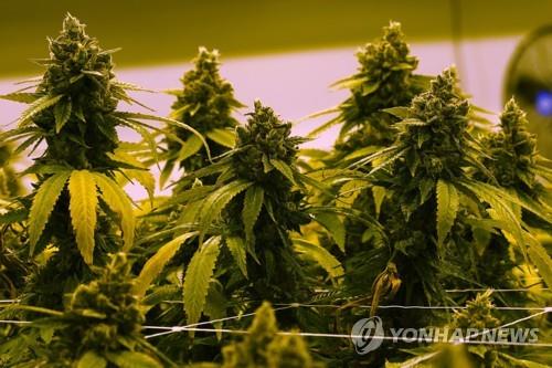 상원유통 이미지
